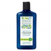 美國第一夫人米歇爾 最愛防脫髮護髮素 Andalou Naturals 干細胞抗老化 摩洛哥堅果護髮素